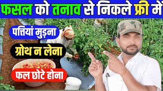 फसल को तनाव से कैसे निकालें || Plant Stress Management