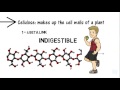 All About Carbohydrates in 6 min! From a HighSchool Student BIOLOGY | HD