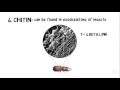 All About Carbohydrates in 6 min! From a HighSchool Student BIOLOGY | HD