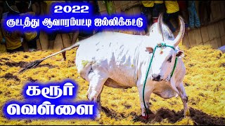 19.03.2022 குட்டத்துஆவாரம்பட்டி ஜல்லிக்கட்டு ,கரூர் வெள்ளை மாஸ், Karur Vellai, Jallikattu360*