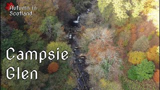 Campsie Glen - Autumn in Scotland | 4K | DJI Mini2