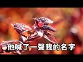 我穿進了狗血虐文裏。在男主的各種發瘋虐待下依舊堅強頑抗，楚楚可憐，等到他徹底愛上我之後再奪走他的一切，讓他痛不欲生【印象馆陶】 落日溫情 情感故事 花開富貴 深夜淺讀 深夜淺談 家庭矛盾 爽文 故事