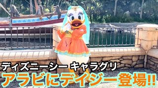 【キャラグリ】アラビアンコーストにデイジー登場‼️