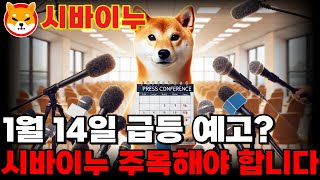 [시바이누코인] 1월 14일 급등 예고됐다? 시바이누 지금 주목해야 하는 이유!