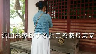 ぽぉまいかい先生と行く開運ツアー その①  天津神明神社～一ノ宮玉前神社