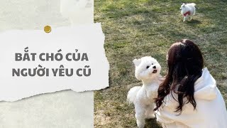 [ TRUYỆN AUDIO ] Bắt chó của người yêu cũ (Full) | Thỏ Audio