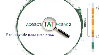 Bioinformatics | Prokaryotic Gene Prediction | FGenesB | Bioinformatic Tutorials