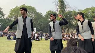 Best pashto Attan in Punjab university Lahore | PEDM| Pashtoon culture day #punjabuniversity #pashto