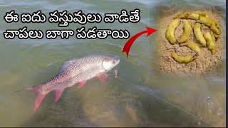 ఈ ఐదు ఐటమ్స్ కలుపుకోండి ఫిషింగ్ బాగా అయితది 🎣🎣🎣