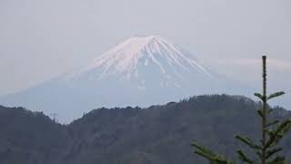 黒川鶏冠山登山　2022年5月