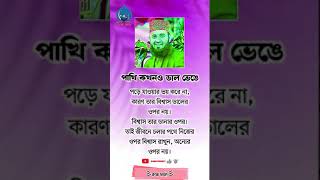 পাখি কখনো ডাল ভেঙে #shortsfeed #islamicvideo #shor