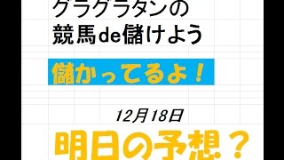 グラグラタンの競馬de儲けよう（簡単競馬予想）　１２月１８日（日）分