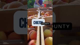 Chilton County, We're here for you