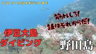 ＜ポンコツエントリー＞伊豆大島ダイビング　野田浜　2023/05/04＜ポンコツエギジット＞