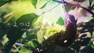 堀江/四ツ橋の人気カフェバー よつばしかふぇ