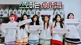 [Apink/에이핑크] 에이핑크 스포 모음