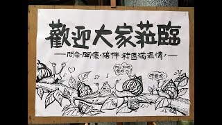 【農村小童の日常】逗陣趴趴走／趴壞／西鎮社區