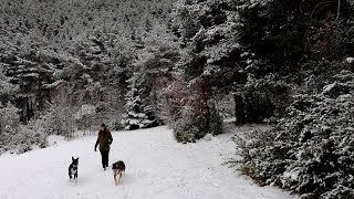 Llegó el invierno || VLOG DE YULE