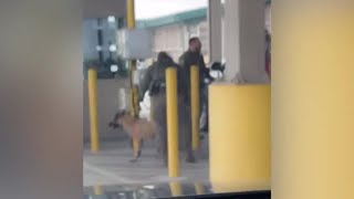 VIDEO: Border Patrol launches investigation into K9 abuse at Falfurrias checkpoint