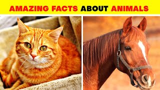 Facts About Animals 🦋🐈 | Amazing Facts | Random Facts | Mind Blowing Facts In Hindi #shorts