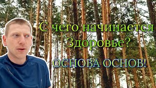 С чего начинается Здоровье? Основа Основ