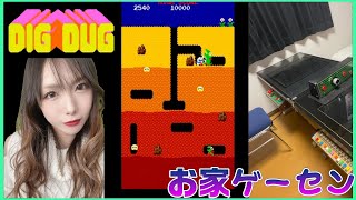 DIG DUG