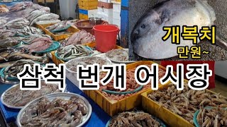 삼척 번개 어시장|승리자매