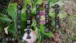 令和3年3月5日 今日の俳句　「かけはしの記」 正岡子規 松尾芭蕉