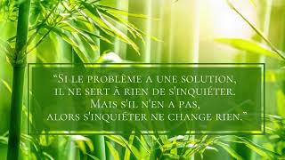 Le Problème sans Solution - Proverbe Tibétain - Proverbe du Jour