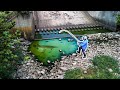 Rescuing BIG Fish TRAPPED in a PUDDLE!!! (Insane)