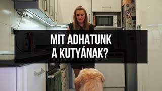 Répa, retek, mogyoró: kutyának vajon adható? Az EBizódból kiderül