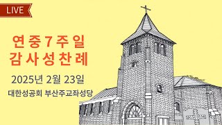 대한성공회 부산주교좌성당_ 연중7주일 감사성찬례_2025년 2월 23일