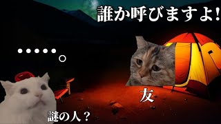 肝っ玉すわった友人が体験した怖い話　#猫ミーム #ホラー #キャンプ