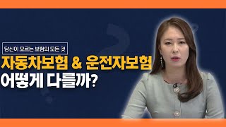 자동차보험\u0026운전자보험 비교 [당신이 모르는 보험의 모든 것]