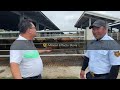 aurora premium cattle farm bakahan sa aming nayon ng aurora isabela. vlog 48