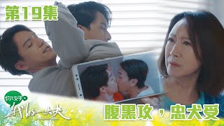 你好，我的大夫｜腹黑攻，忠犬受｜蔡思貝｜何廣沛｜吳偉豪｜游嘉欣｜陳嘉慧｜中醫｜愛情｜TVB港劇精華