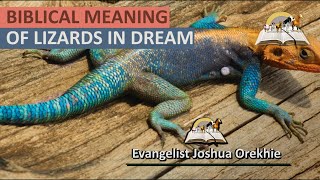 Biblical Meaning of LIZARDS in Dream  - Dreams About Lizard