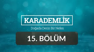 Artvin - Karademlik 15.Bölüm