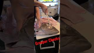 Grouper Cheeks! Have you ever had them?? #youtubeshorts #shorts #groupercheeks