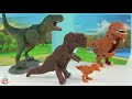 日本食玩diy霸王龍巧克力 恐龍食玩 diy 3d dinosaur chocolate