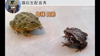 🐸：忍一时风平浪静，退一步越想越气。 #搞笑配音#