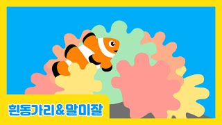 흰동가리\u0026말미잘🐠 | 환상의 짝궁 | 물속 장기자랑 | 바다동물 | 자연관찰 | 바다생물 | 로티프렌즈 | LOTTY FRIENDS