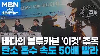 기후 위기 극복의 열쇠 '해조류'…완도군, 블루카본 인증 포럼 개최 [전국네트워크]