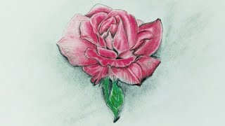 Rose day drawing easy||how to draw rose easy