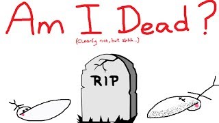 Is GradeAUnderA Dead? (Where Tf Have I Been?)