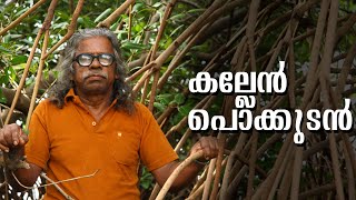 കണ്ടൽ വനങ്ങൾ സം‌രക്ഷിക്കാൻ ജീവിതം മാറ്റിവെച്ച | Kallen Pokkudan