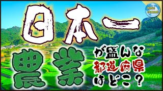 日本の農業を支えている都道府県は？【農業産出額ランキング】