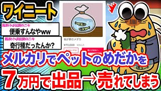 【悲報】ワイ「マッマが世話してるめだかだけど数匹くらいバレんやろ!!」→結果wwwwww【2ch面白いスレ】