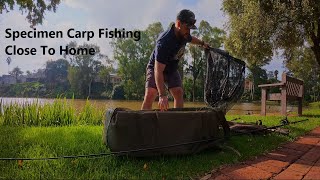 Close To Home | Specimen Carp Fishing