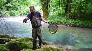 Browntrout flyfishing curak